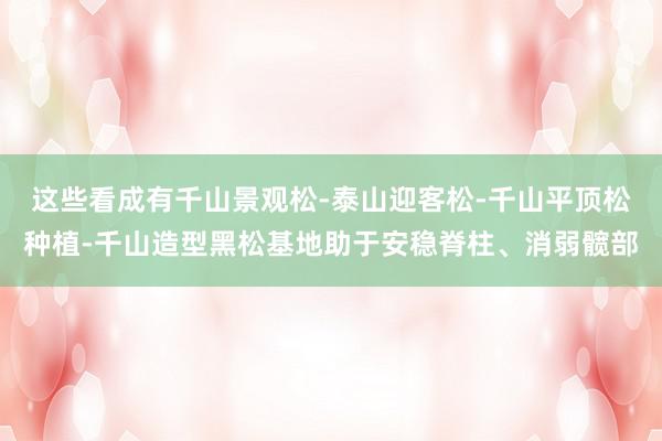 这些看成有千山景观松-泰山迎客松-千山平顶松种植-千山造型黑松基地助于安稳脊柱、消弱髋部